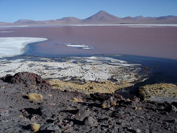 Laguna Colorada je opravdu colorada, prý díky červeným řasám.